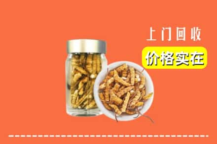 甘孜州丹巴回收散虫草