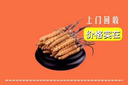 甘孜州丹巴回收冬虫夏草