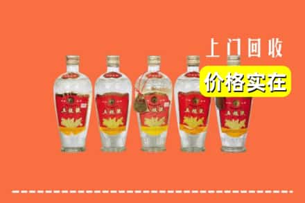 甘孜州丹巴回收老五粮液